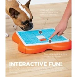 Nina Ottosson Challenge Slider Intelligenzspielzeug -Heimtierbedarf Geschäft nina ottosson inteligenz spielzeug challenge slider web 3