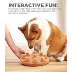 Nina Ottosson Dog Smart - Composite Intelligenzspielzeug -Heimtierbedarf Geschäft nina ottosson inteligenz spielzeug dog smart composite web 2