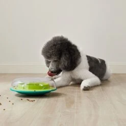 Nina Ottosson Wobble Bowl Intelligenzspielzeug -Heimtierbedarf Geschäft nina ottosson inteligenz spielzeug wobble bowl 3