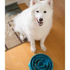 Outward Hound Fun Feeder Slo Bowl Anti Schling Drop Turquoise -Heimtierbedarf Geschäft outward hound fun feeder slo bowl drop turkquoise large web 8