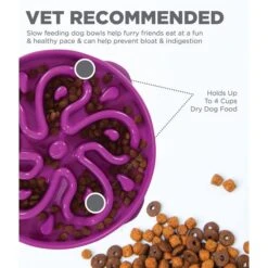 Outward Hound Fun Feeder Slo Bowl Anti Schling Flower Purple 12 Outward Hound Fun Feeder Slo Bowl Anti Schling Flower Purple -Heimtierbedarf Geschäft outward hound fun feeder slo bowl flower purple large web 3