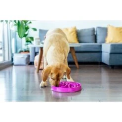 Outward Hound Fun Feeder Slo Bowl Anti Schling Flower Purple 15 Outward Hound Fun Feeder Slo Bowl Anti Schling Flower Purple -Heimtierbedarf Geschäft outward hound fun feeder slo bowl flower purple large web 6