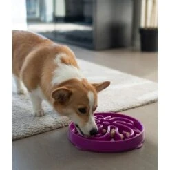 Outward Hound Fun Feeder Slo Bowl Anti Schling Flower Purple 16 Outward Hound Fun Feeder Slo Bowl Anti Schling Flower Purple -Heimtierbedarf Geschäft outward hound fun feeder slo bowl flower purple large web 8