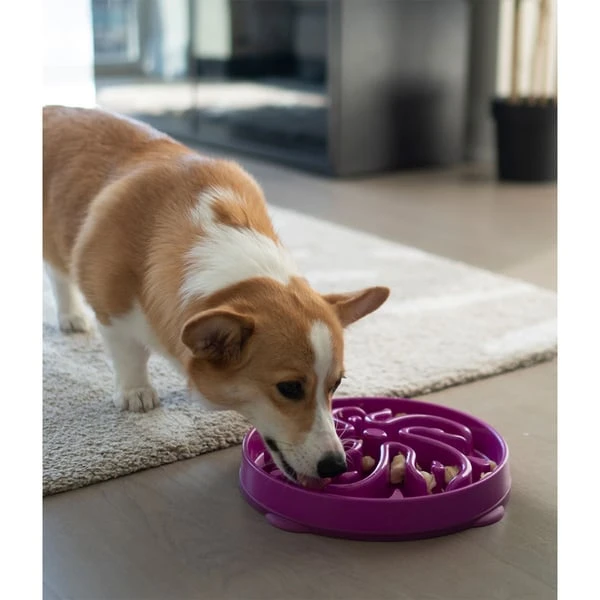 Outward Hound Fun Feeder Slo Bowl Anti Schling Flower Purple 9 Outward Hound Fun Feeder Slo Bowl Anti Schling Flower Purple – Bild 7