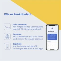 Pezz Urintest Kit Für Hunde -Heimtierbedarf Geschäft pezz urintest kit fur hunde 3