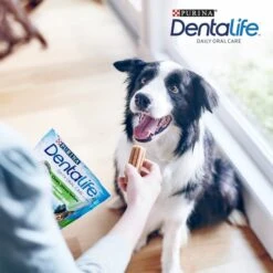 PURINA DENTALIFE Tägliche Zahnpflege-Snacks Für Mittelgroße Hunde -Heimtierbedarf Geschäft purina dentalife tagliche zahnpflege snacks fur mittelgrosse hunde 5