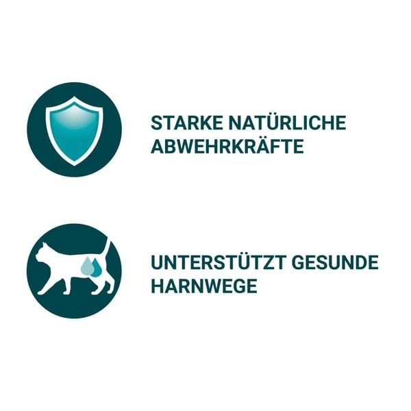 PURINA ONE Adult In Sauce Sorten-Mix 40x85g 4 PURINA ONE Adult In Sauce Sorten-Mix 40x85g – Bild 2