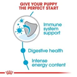 ROYAL CANIN Mini Puppy 2kg + Mini Puppy In Soße 12x85g -Heimtierbedarf Geschäft rc puppy mini trocken 3