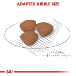 ROYAL CANIN Mini Puppy 2kg + Mini Puppy In Soße 12x85g -Heimtierbedarf Geschäft rc puppy mini trocken 4