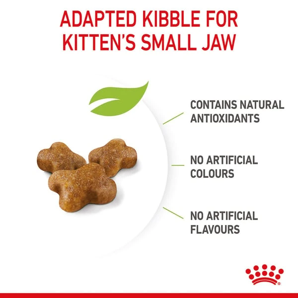 ROYAL CANIN KITTEN Trockenfutter Für Kätzchen 9 ROYAL CANIN KITTEN Trockenfutter Für Kätzchen – Bild 7