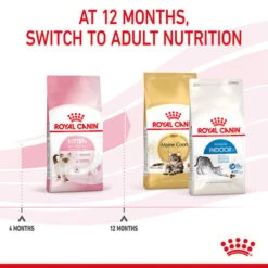 ROYAL CANIN KITTEN Trockenfutter Für Kätzchen 21 ROYAL CANIN KITTEN Trockenfutter Für Kätzchen -Heimtierbedarf Geschäft royal canin kitten fur katzchen bis zum 12 monat 7