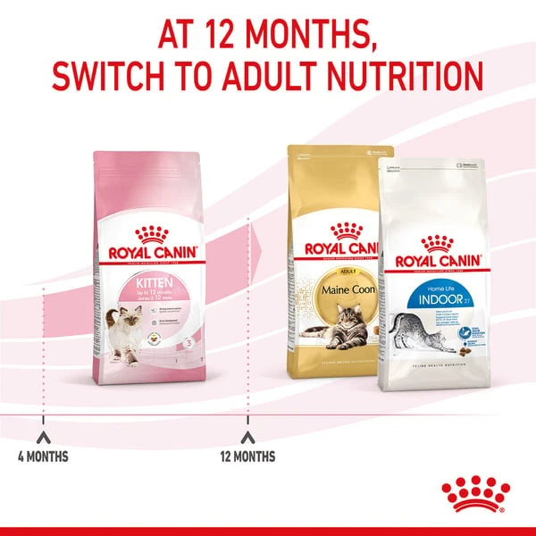 ROYAL CANIN KITTEN Trockenfutter Für Kätzchen 10 ROYAL CANIN KITTEN Trockenfutter Für Kätzchen – Bild 8