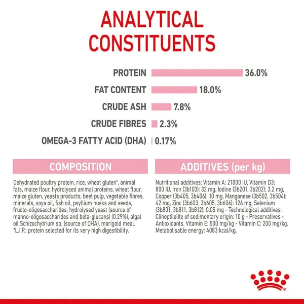 ROYAL CANIN KITTEN Trockenfutter Für Kätzchen 11 ROYAL CANIN KITTEN Trockenfutter Für Kätzchen – Bild 9