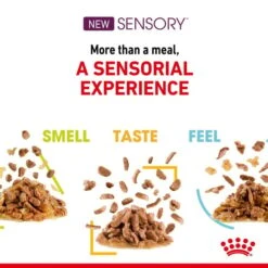 Royal Canin Sensory Feel Gravy -Heimtierbedarf Geschäft royal canin sensory feel gravy 3