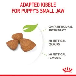 ROYAL CANIN X-SMALL Puppy Trockenfutter Für Welpen Sehr Kleiner Hunderassen -Heimtierbedarf Geschäft royal canin x small puppy fur welpen sehr kleiner hunderassen 5
