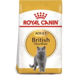 ROYAL CANIN British Shorthair Katzenfutter Trocken Für Britisch Kurzhaar 15 ROYAL CANIN British Shorthair Katzenfutter Trocken Für Britisch Kurzhaar -Heimtierbedarf Geschäft royal canin adult british shorthair web web