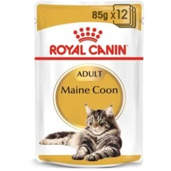ROYAL CANIN Maine Coon Adult Katzenfutter Nass 15 ROYAL CANIN Maine Coon Adult Katzenfutter Nass -Heimtierbedarf Geschäft royal canin adult maine coon 85g web