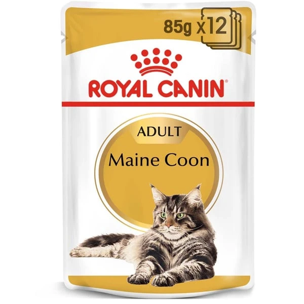 ROYAL CANIN Maine Coon Adult Katzenfutter Nass 9 ROYAL CANIN Maine Coon Adult Katzenfutter Nass – Bild 7