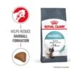Royal Canin FCN Hairball Care 1 Royal Canin FCN Hairball Care -Heimtierbedarf Geschäft royal canin hairball care trocken web 1