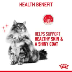 Royal Canin FCN Hair & Skin Care 15 Royal Canin FCN Hair & Skin Care -Heimtierbedarf Geschäft royal canin skin care trocken web 3