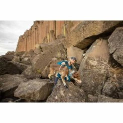 Ruffwear Geschirr Flagline Blue Dusk -Heimtierbedarf Geschäft ruffwear geschirr flagline blue dusk web 8