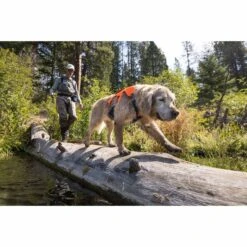 Ruffwear Geschirr Web Master Blaze Orange -Heimtierbedarf Geschäft ruffwear geschirr web master blaze orange web 11