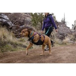 Ruffwear Geschirr Web Master Purple Rain -Heimtierbedarf Geschäft ruffwear geschirr web master purple rain web 11