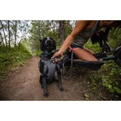 Ruffwear Switchbak Leine Granite Gray 17 Ruffwear Switchbak Leine Granite Gray -Heimtierbedarf Geschäft ruffwear leine switchbak granite gray web 9