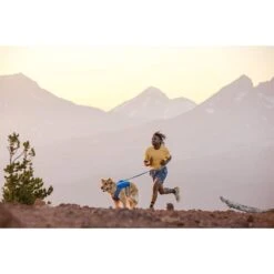Ruffwear Trail Runner Leine -Heimtierbedarf Geschäft ruffwear leine trail runner web 6