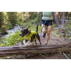 Ruffwear Trail Runner Leine -Heimtierbedarf Geschäft ruffwear leine trail runner web 7