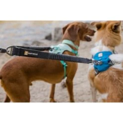 Ruffwear Double Track Coupler -Heimtierbedarf Geschäft ruffwear leinen kuppler double track coupler web 4