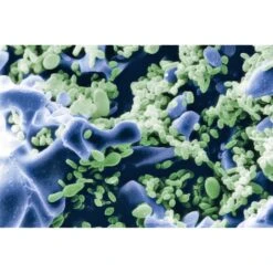 Sera Pond Siporax 2kg (10l) -Heimtierbedarf Geschäft sera siporax pond 2