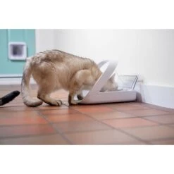 SureFeed Mikrochip Futterautomat Connect -Heimtierbedarf Geschäft surefeed mikrochip futterautomat connect 3