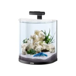 Tetra AquaArt Explorer Line Halfmoon Komplett-Set 30l -Heimtierbedarf Geschäft tetra aquaart explorer line halfmoon komplett set 30l 3