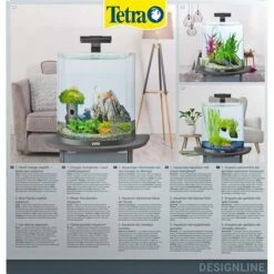 Tetra AquaArt Explorer Line Halfmoon Komplett-Set 30l -Heimtierbedarf Geschäft tetra aquaart explorer line halfmoon komplett set 30l 5