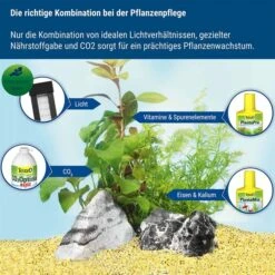 Tetra CO2-Optimat 11 Tetra CO2-Optimat -Heimtierbedarf Geschäft tetra co2 optimat 5