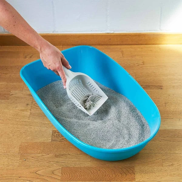 ZooRoyal Tigrooo Mit Babypuderduft 4 ZooRoyal Tigrooo Mit Babypuderduft – Bild 2