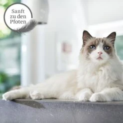 ZooRoyal Tigrooo Mit Babypuderduft 12 ZooRoyal Tigrooo Mit Babypuderduft -Heimtierbedarf Geschäft tigrooo babypuderduft neu 12kg 3