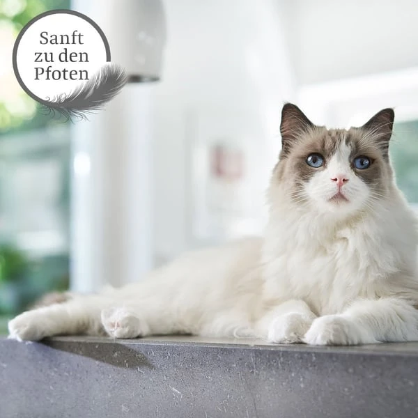 ZooRoyal Tigrooo Mit Babypuderduft 5 ZooRoyal Tigrooo Mit Babypuderduft – Bild 3