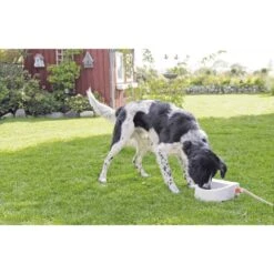 Trixie Automatische Outdoor-Tränke 1,5 L -Heimtierbedarf Geschäft trixie automatische outdoor tranke 1 5l 4