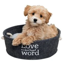 Trixie Filzschlafplatz Lian In Grau -Heimtierbedarf Geschäft trixie bett lian 2