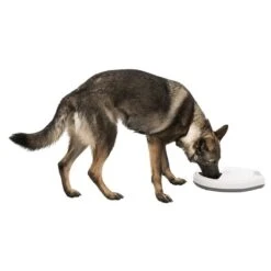 Trixie Futterautomat TX5 -Heimtierbedarf Geschäft trixie tx5 futterautomat hund frisst