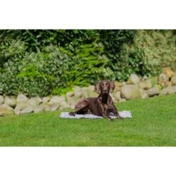 Trixie Kühlmatte Soft L 65x50cm -Heimtierbedarf Geschäft trixie kuehlmatte soft 3SMDyEpKuWUz4W