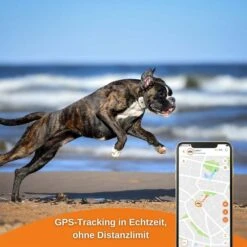 Weenect XS GPS Tracker Für Hunde Weiß -Heimtierbedarf Geschäft weenect xs gps tracker fur hunde weiss 6