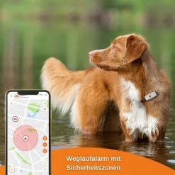 Weenect XS GPS Tracker Für Hunde Weiß -Heimtierbedarf Geschäft weenect xs gps tracker fur hunde weiss 9