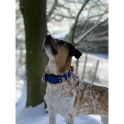 WowWow Professional Halsband Rot -Heimtierbedarf Geschäft wowwow halsband alle 26091513687183