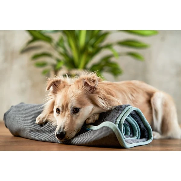 ZooRoyal Kuscheldecke Levi Anthrazit 120 X 100 Cm 11 ZooRoyal Kuscheldecke Levi Anthrazit 120 X 100 Cm – Bild 9