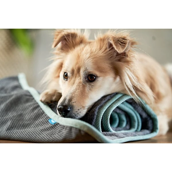 ZooRoyal Kuscheldecke Levi Anthrazit 120 X 100 Cm 12 ZooRoyal Kuscheldecke Levi Anthrazit 120 X 100 Cm – Bild 10