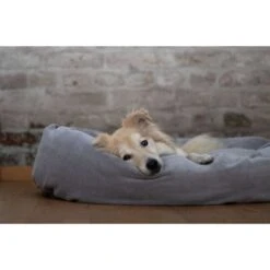 ZooRoyal Kuschelbett Rund Für Haustiere 95 Cm 11 ZooRoyal Kuschelbett Rund Für Haustiere 95 Cm -Heimtierbedarf Geschäft zooroyal hundebett rund grau 1