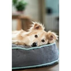 ZooRoyal Hundekissen Elias Anthrazit -Heimtierbedarf Geschäft zooroyal hundekissen elias anthrazit 4